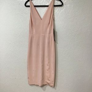 Donna Karan New York RoseWater Silk Dress